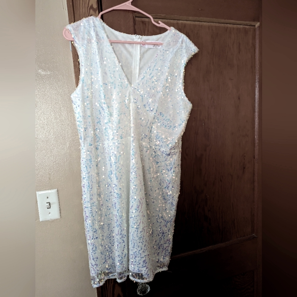 Southern Fried Chics Dress